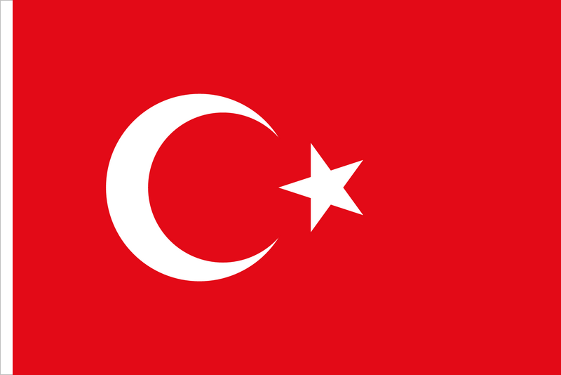 Türkçe